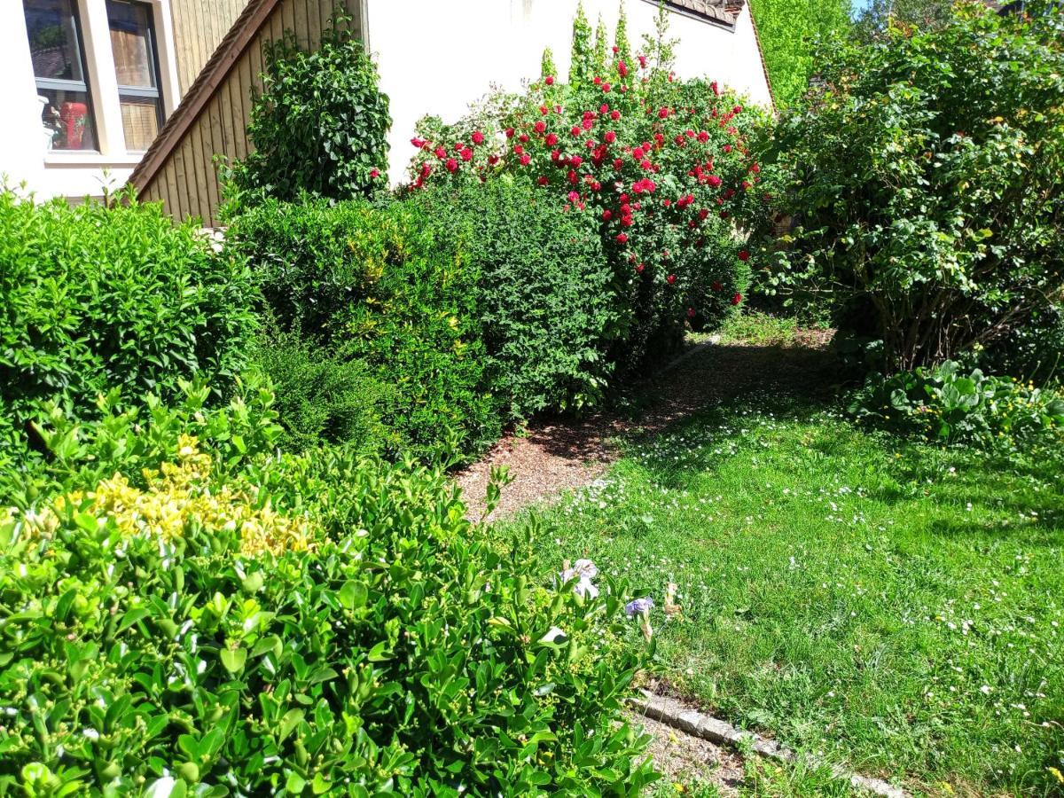 L'Essentiel De Chartres Apartment Exterior foto